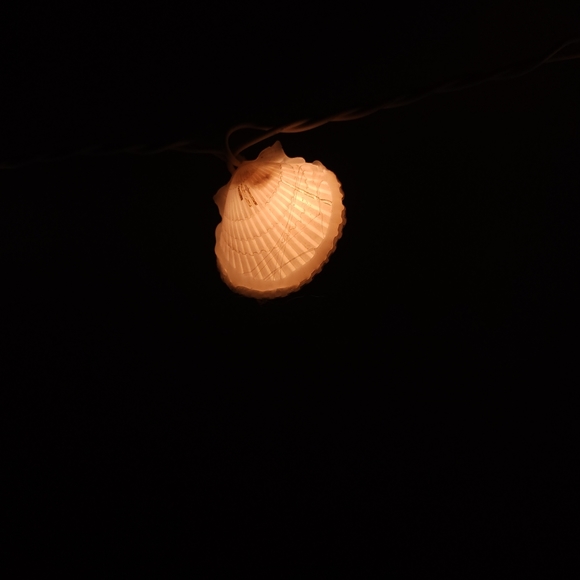 SEASHELL PLUG IN string lights TWO BOXES perfect for weddings beach party,home - Picture 9 of 9